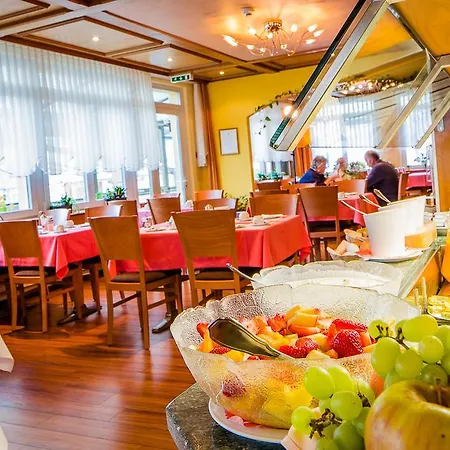 Hotel Heilquelle-leukerbad-therme 3*